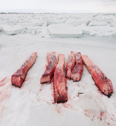 Kiliii Yuyan – Rumors of Arctic Belonging