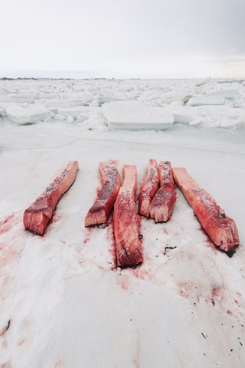 Kiliii Yuyan - »Rumors of Arctic Belonging«